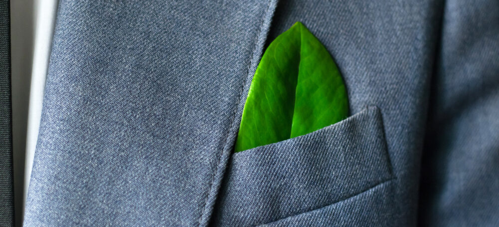 Ogłoszenie Marszałka Województwa Podkarpackiego